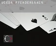 Uceda Pferderennen