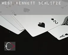 West Kennett  Schlitze