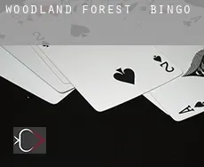 Woodland Forest  Bingo
