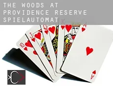 The Woods at Providence Reserve  Spielautomat