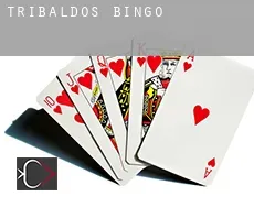 Tribaldos Bingo