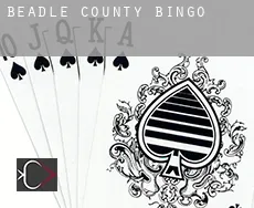 Beadle County  Bingo