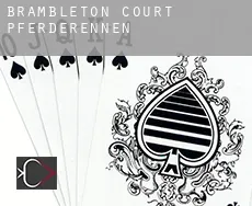 Brambleton Court  Pferderennen