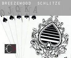 Breezewood  Schlitze