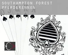 Southampton Forest  Pferderennen
