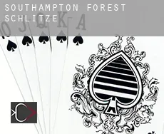 Southampton Forest  Schlitze