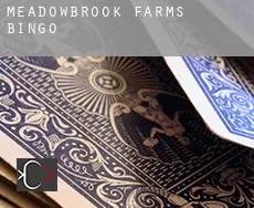Meadowbrook Farms  Bingo