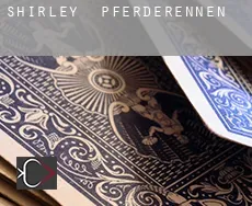 Shirley  Pferderennen