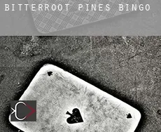 Bitterroot Pines  Bingo