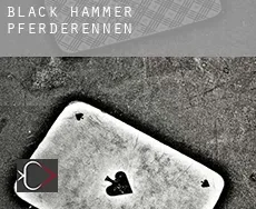 Black Hammer  Pferderennen