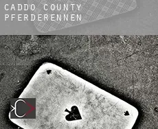 Caddo County  Pferderennen
