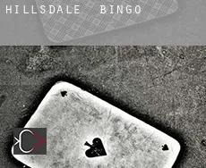 Hillsdale  Bingo