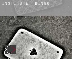 Institute  Bingo