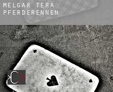 Melgar de Tera Pferderennen