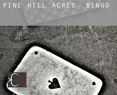 Pine Hill Acres  Bingo