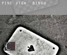Pine View  Bingo