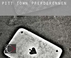 Pitt Town  Pferderennen