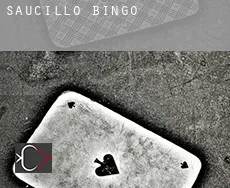 Saucillo  Bingo