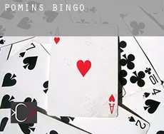 Pomins  Bingo