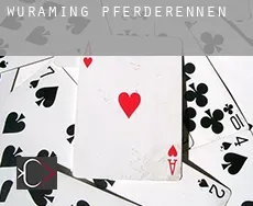 Wuraming  Pferderennen