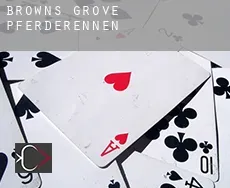 Browns Grove  Pferderennen