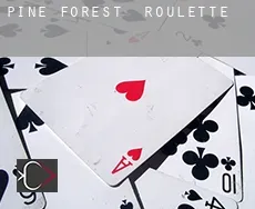 Pine Forest  Roulette