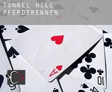 Tunnel Hill  Pferderennen