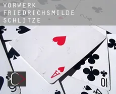 Vorwerk Friedrichsmilde  Schlitze