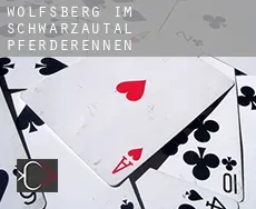 Wolfsberg im Schwarzautal  Pferderennen