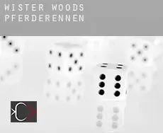 Wister Woods Pferderennen