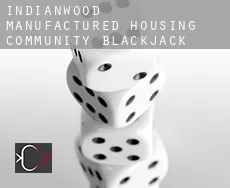 Indianwood Manufactured Housing Community  Blackjack