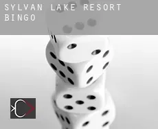Sylvan Lake Resort  Bingo