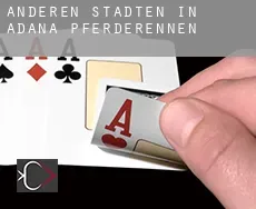 Anderen Städten in Adana Pferderennen