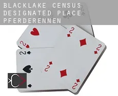 Blacklake  Pferderennen