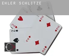 Ehler  Schlitze