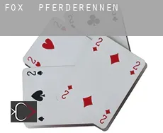 Fox  Pferderennen