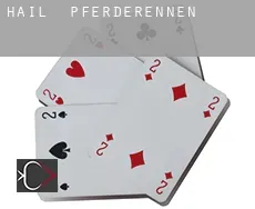 Hail  Pferderennen