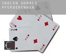 Indian Shoals  Pferderennen
