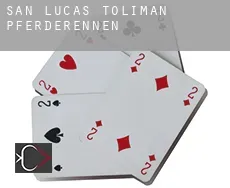 San Lucas Tolimán Pferderennen