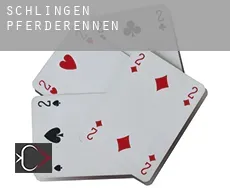 Schlingen  Pferderennen