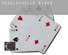 Veseleyville  Bingo