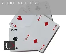 Žleby Schlitze