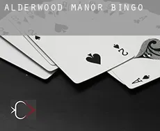 Alderwood Manor Bingo