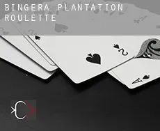 Bingera Plantation  Roulette