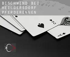 Bischwind bei Heilgersdorf  Pferderennen