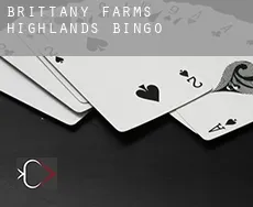 Brittany Farms-Highlands  Bingo
