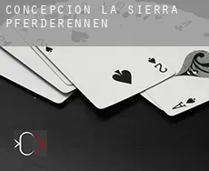 Concepción de la Sierra  Pferderennen