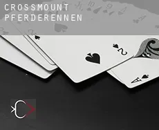 Crossmount  Pferderennen