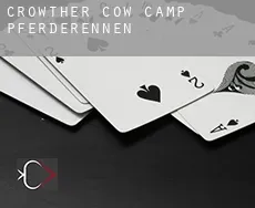 Crowther Cow Camp  Pferderennen