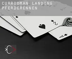 Currioman Landing  Pferderennen